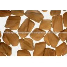 Indian fenugreek seeds exporter